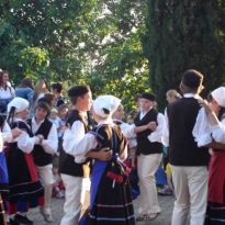 Zavičajna nastava