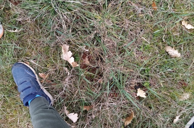 Zavičajna nastava