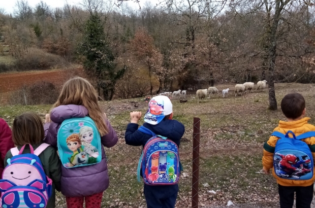 Zavičajna nastava