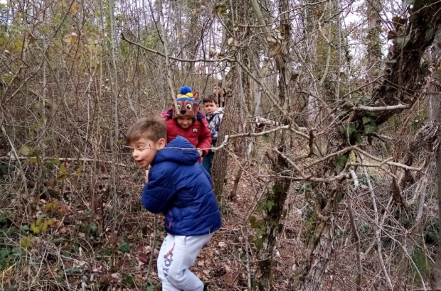 Zavičajna nastava