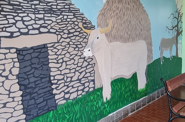 Zavičajna nastava