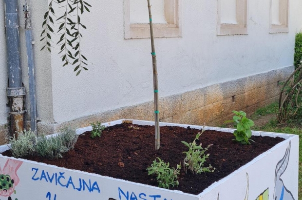 Zavičajna nastava